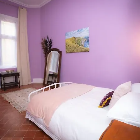 Apartment Spacious In The Heart Of Carcassonne